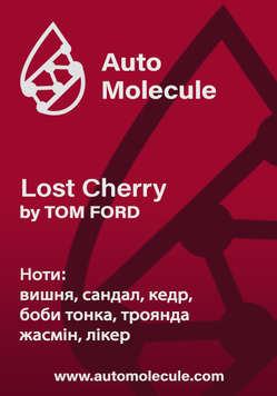 Арома стік Lost Cherry 1337206 фото