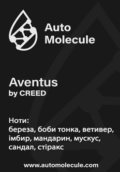 Арома стік Aventus 1337213 фото