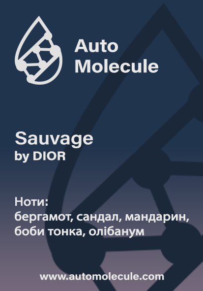 Арома стік Sauvage 1337216 фото