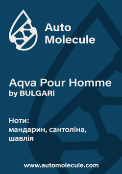 Арома стік Aqva Pour Homme 1337218 фото